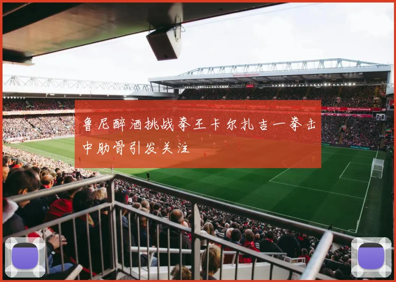 鲁尼醉酒挑战拳王卡尔扎吉一拳击中肋骨引发关注