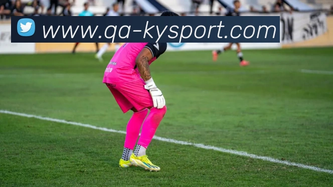 开云足球APP 封面图